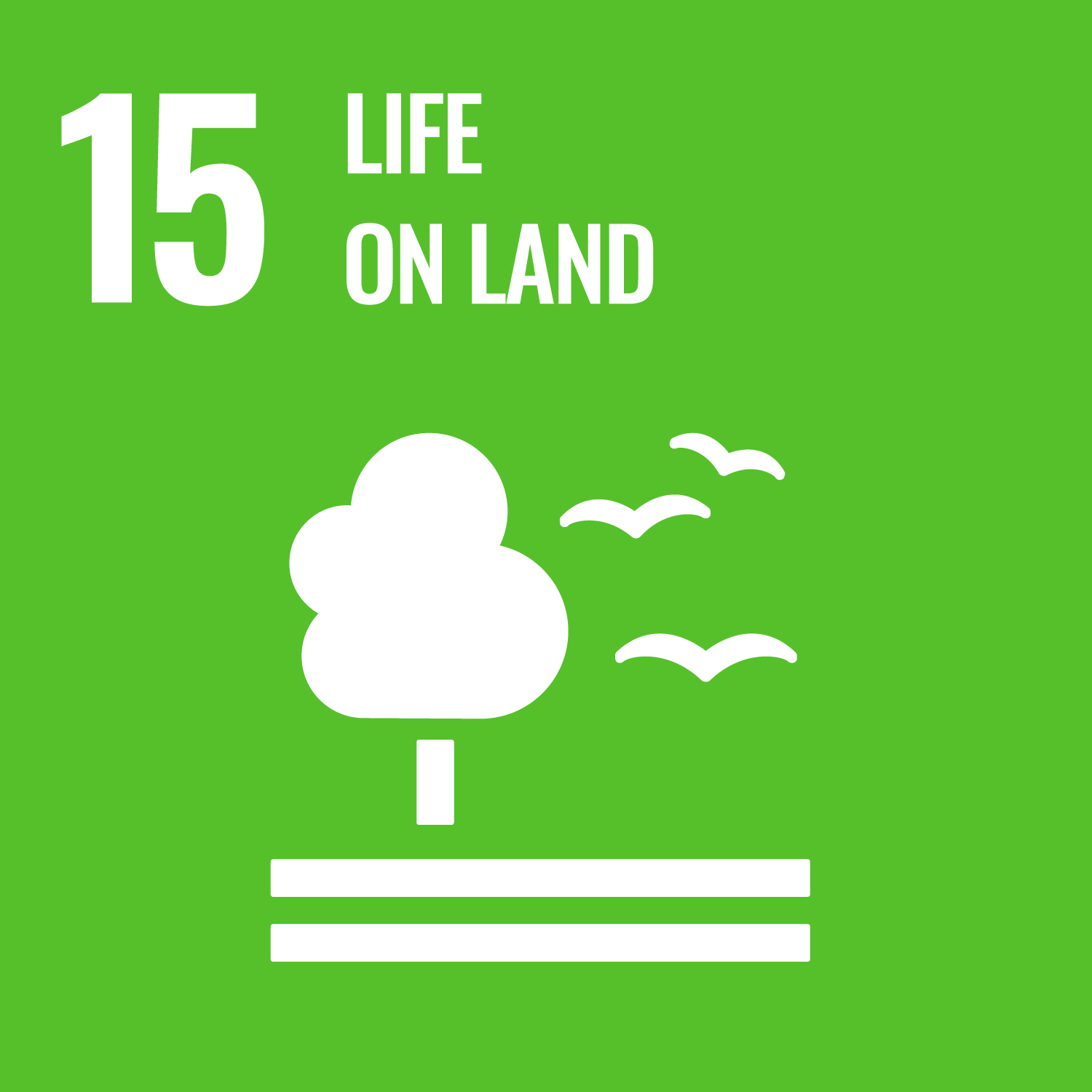 SDG15 – LA VITA NELLA TERRA